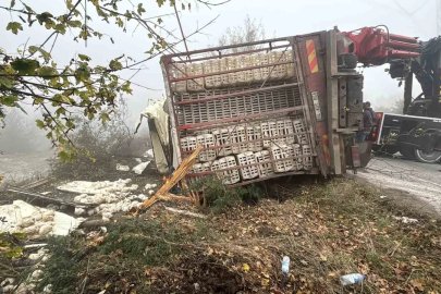 Bolu’da virajı alamayan kamyon devrildi: Onlarca tavuk telef oldu
