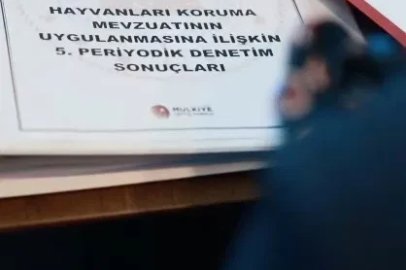 Bakan Çiftçi: "Vatandaşımızın güvenliğini korurken sahipsiz hayvanlarımızın bakımını ve refahını da gözeteceğiz"
