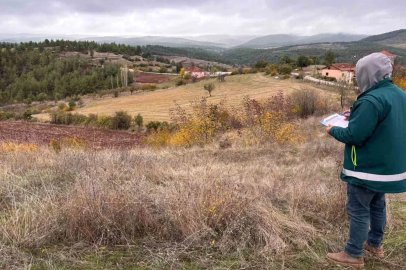 Tavşanlı’da ürün beyanları sahada denetleniyor
