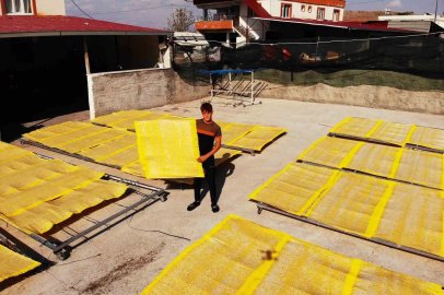 Kahramanmaraş tarhanasında sezon sona erdi: Üretim 3 bin 650 ton
