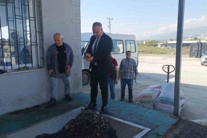 Hatay’da kaliteli zeytinyağı üretimi için hasat uyarısı
