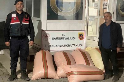 Çarşamba’da fındık dolandırıcılığı: 2 gözaltı
