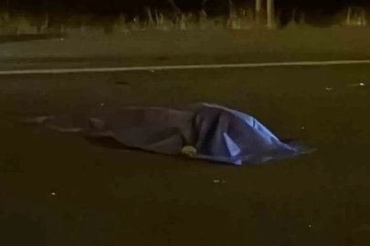Otomobilin çarptığı yaya hayatını kaybetti
