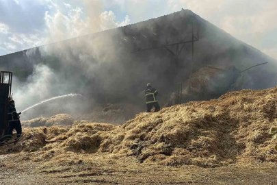 Gaziantep’te çiftlikte yangın

