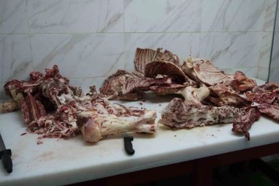 Gaziosmanpaşa’daki denetimlerde 15 ton bozulmuş etin piyasaya sürülmesi engellendi
