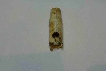 Troya’daki müzik kültürüne ilişkin doğrudan bir arkeolojik kanıta ulaşıldı
