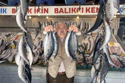 Palamutta bereket, kilosu 100 TLl’ye düştü
