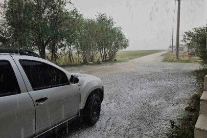 Adilcevaz’da dolu yağışı yaşamı olumsuz etkiledi
