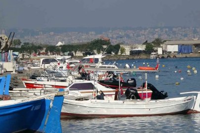 Karadeniz’de palamut alarmı: "Önüne ne gelirse yiyor, bir an önce hepsinin tutulması gerekiyor"
