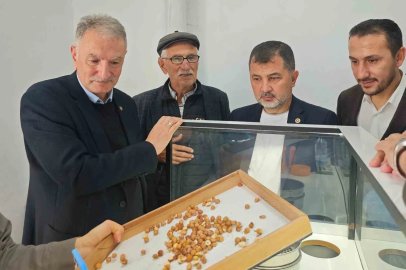 Fındık alım çalışmaları yerinde incelendi
