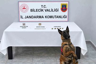Narkotik köpeği uyuşturucuyu kokusundan buldu
