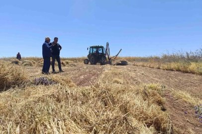 Beyşehir’in kırmızı altını Avrupa ve Orta Doğu yolunda
