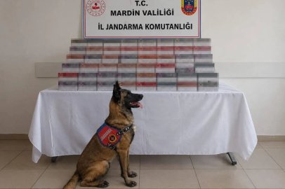 Mardin’de 8 milyon lira değerinde kaçak ürün ele geçirildi
