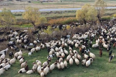 Göçerlerin Van’dan Siirt’e zorlu dönüş yolculuğu başladı
