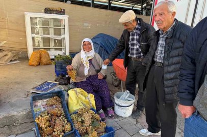 Çivril’in meşhur Koçak üzümü tezgâhlarda
