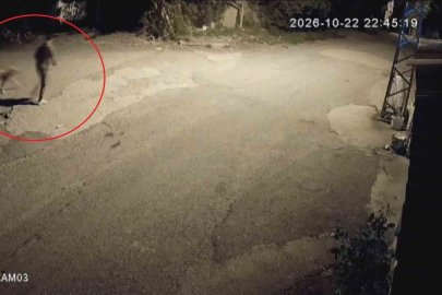 Motosikletle gelip köpeği çalan hırsızlara sitem: "Köpek çalmak nedir"
