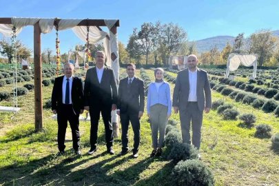 Samsun’da kadın üretici lavanta yetiştiriciliğiyle tarımsal çeşitliliğe katkı sağlıyor
