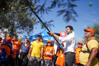 Tarsus’ta zeytinler lösemili çocuklar için toplandı
