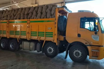 Kastamonu’da fındık üreticisinden 100 tonun üzerinde fındık aldı
