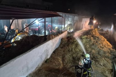 Denizli’de besihanede çıkan yangın söndürüldü

