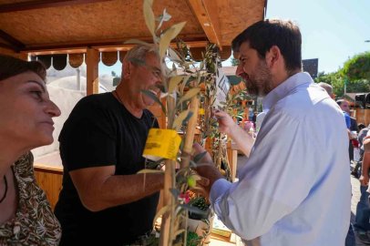 3. Uluslararası Tarsus Sarıulak Zeytin Festivali üretim ve dayanışmayı buluşturdu
