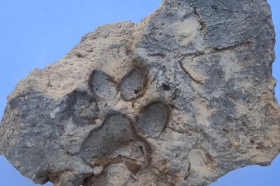 Tavşanlı Höyük’te 4 bin yıllık pati izi bulundu
