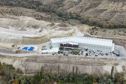 Kedi kumu fabrikası Türkiye’ye 50 milyon dolar döviz kazandırıyor
