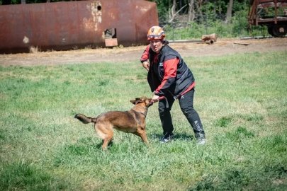 Muğla’nın arama kurtarma köpekleri Tayga ve Foxy görev yeterlilik sınavını geçti
