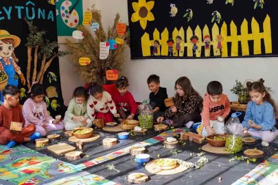 Çocuklar zeytin kırdı, geleneksel üretimle tanıştı
