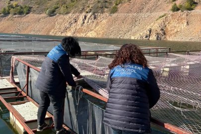 Ordu’da alabalık tesislerine denetim

