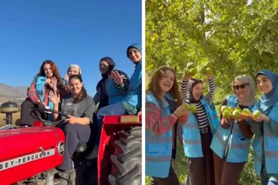 Erzincanlı öğrenciler Üzümlü’de meyve hasadına katıldı
