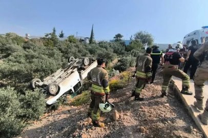Zeytinliğe uçan kamyonetin sürücüsü yaralandı
