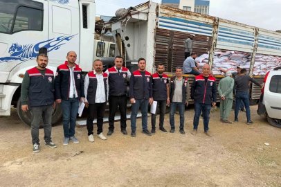 Mazıdağı’nda 167 çiftçiye 40 ton mercimek tohumu desteği
