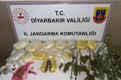 Diyarbakır’da 59 bin kök kenevir ile 109 kilo uyuşturucu ele geçirildi

