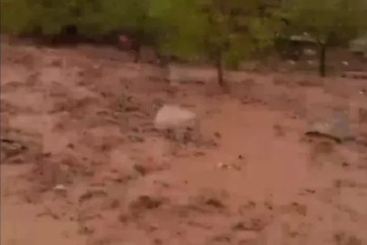 Malatya’da dereler taştı, konteynerleri su bastı
