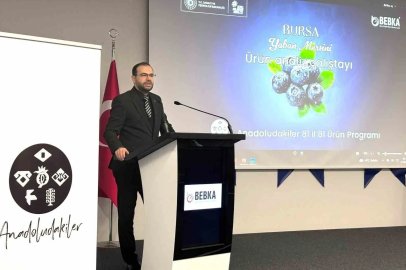 Bursa’nın yaban mersini için yol haritası paydaşlarla çiziliyor
