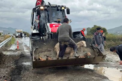 Muğla’da tüm kurumlar yağmur teyakkuzunda
