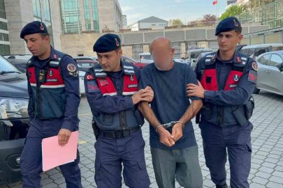Orman envanterlerini çalarken suçüstü yakalandı
