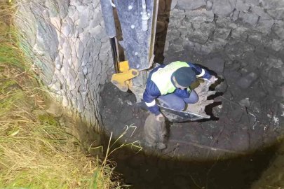 Kuyuda mahsur kalan domuzlar için seferber oldular
