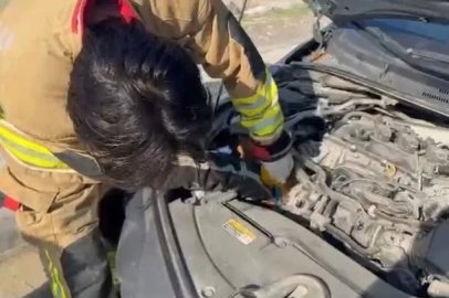 Hatay’da mahsur kalan hayvanlar kurtarıldı
