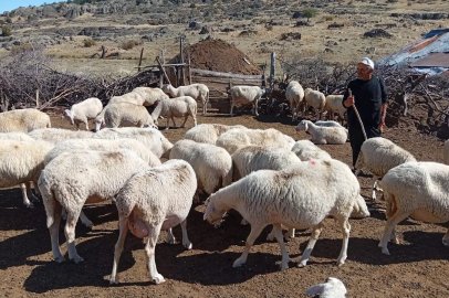 Bolu’da ORKÖY kredileri yüzleri güldürdü
