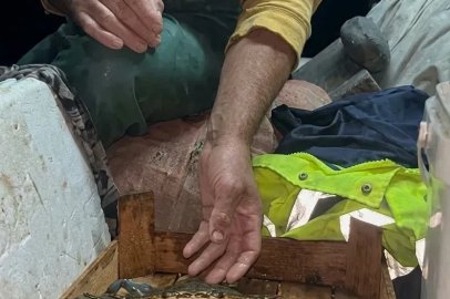 Sinoplu balıkçıya denizden mavi sürpriz
