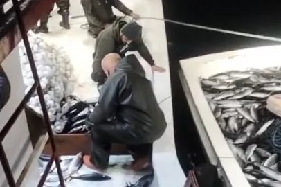 5 bin palamut tekneye sığmadı, yardıma başka tekne geldi

