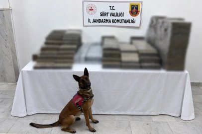 Siirt’te kömür çuvallarının arasına gizlenmiş 10 bin 250 paket kaçak sigara ele geçirildi
