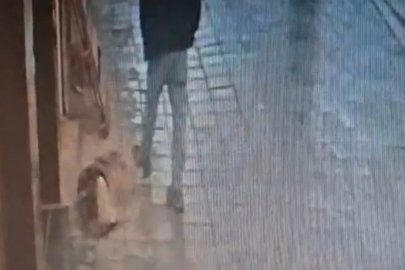 Avcılar’da uyuyan köpek, kendisine tekme atan adamı ısırdı
