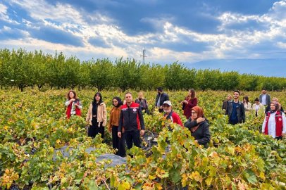 Erzincan’da üniversite öğrencileri bağ bozumu yapan çiftçiye destek oldu
