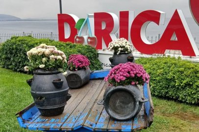 Darıca’da yeşil alanlar mevsimlik çiçeklerle renkleniyor
