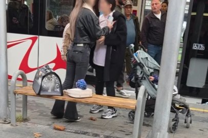 Kediye vurma tartışması itiş-kakışa döndü
