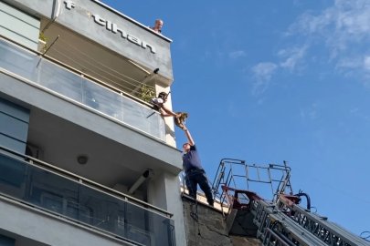Aydın itfaiyesi yaramaz kedi için seferber oldu
