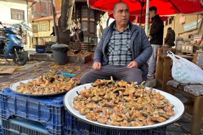 Tavşanlı’da melki mantarı hareketliliği başladı

